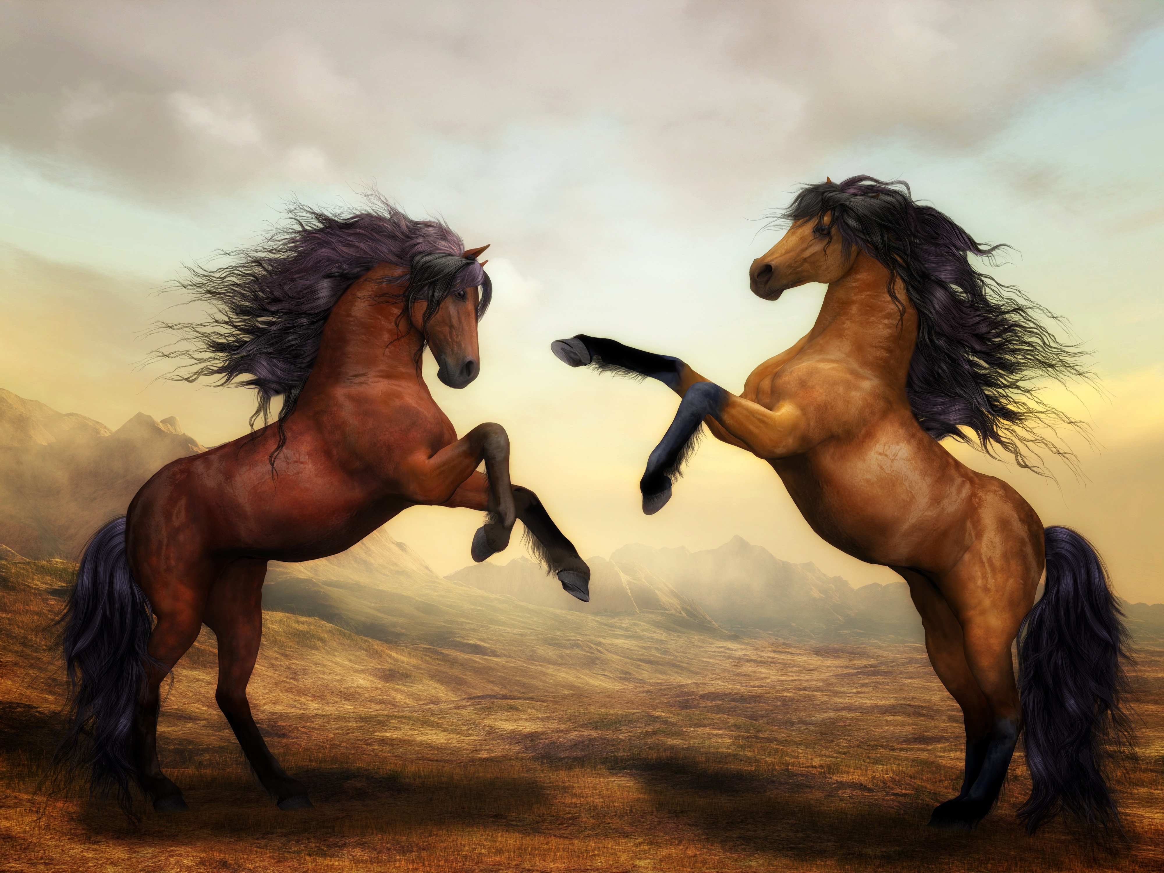 two horses fighting